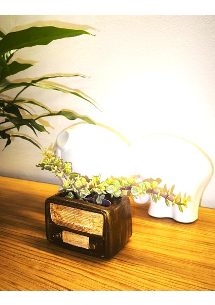Retro Radyo Sukulent Saksısı ve Kalemlik - Masaüstü Dekoratif Organizer Kahverengi 12*8 fırsatları