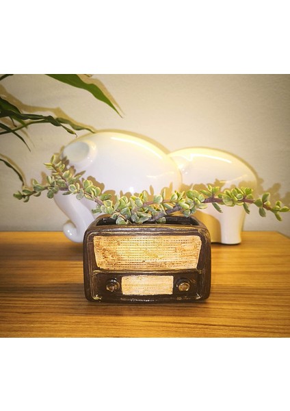Retro Radyo Sukulent Saksısı ve Kalemlik - Masaüstü Dekoratif Organizer Kahverengi 12*8 indirimleri