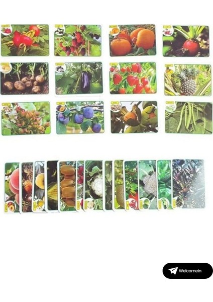 Oyuncak Minik Bebeğimin Ilk 50 Sözcük Kartları ve Ilk 50 Meyve Sebze Kartları Flash Kart Set 2'li