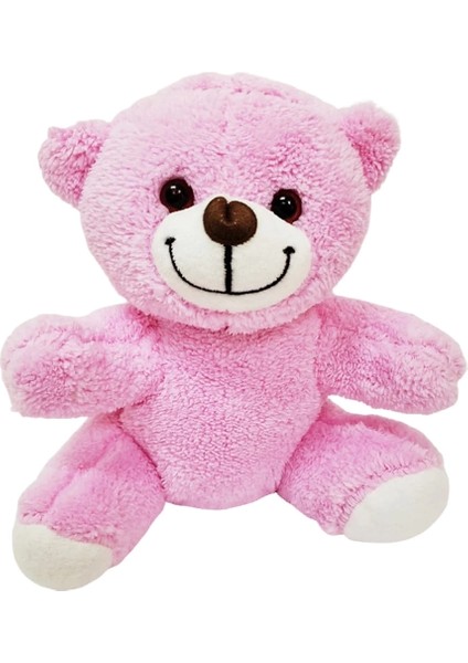 Buğz Öğretmenler Günü Hediyesi Peluş Ayıcık fiyatları