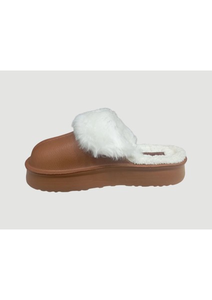 PC-55332 Kadın Içi Peluşlu Terlik Taba fiyatları