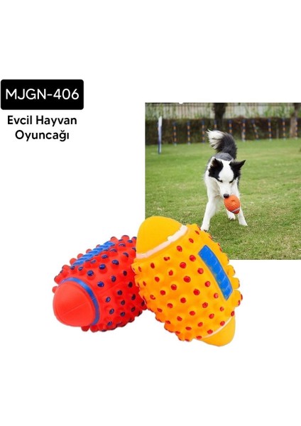 Buğz Kedi Köpek Amerikan Topu