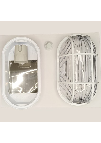 Orkide Duvar Aplik fırsatları