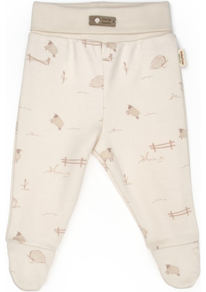 Bebek 2li Patikli Pantalon %100 Organik Pamuk , Bebek - Yenidoğan- CSY8179 modelleri