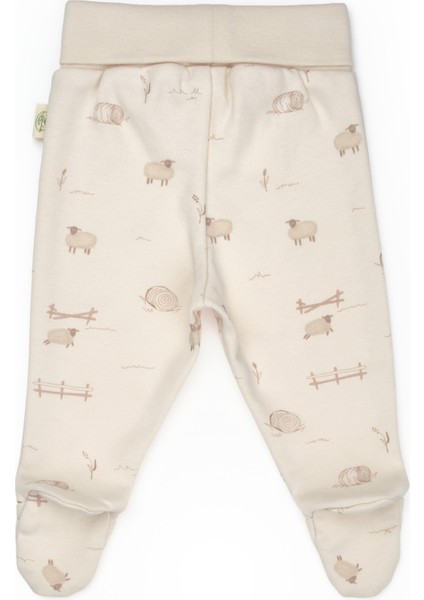 Bebek 2li Patikli Pantalon %100 Organik Pamuk , Bebek - Yenidoğan- CSY8179 fırsatları