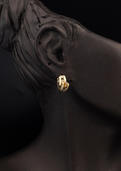 Kaburga Tasarım 14 Ayar Altın Takı Seti fırsatları