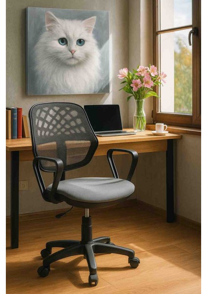 Ofis Koltuğu, Büro Koltuğu, Çalışma Sandalyesi, Oyuncu Koltuğu, Patron Koltuğu, Ofis Sandalyesi