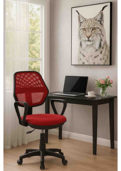 Ofis Koltuğu, Büro Koltuğu, Çalışma Sandalyesi, Oyuncu Koltuğu, Patron Koltuğu, Ofis Sandalyesi
