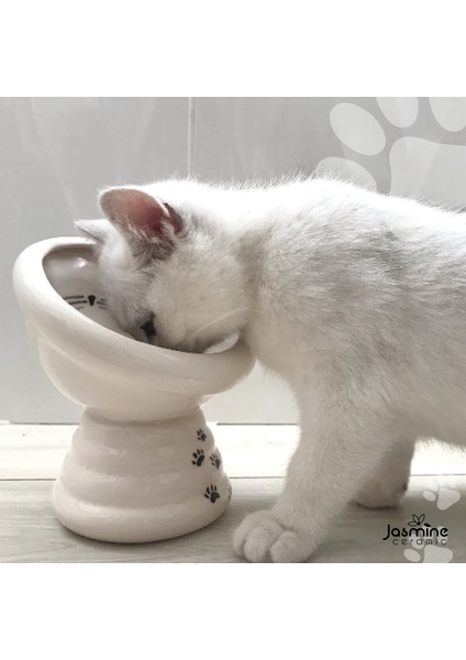 Kedi Mama Kabı, Yüksek,renkli, El Yapımı,