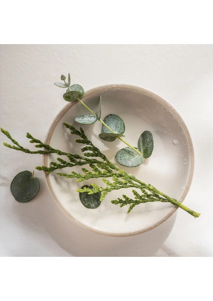 Jamtskogen Kokulu Tealight Mum Koyu Yeşil 3.5 Saat 30 Adet Çam ve Yosun