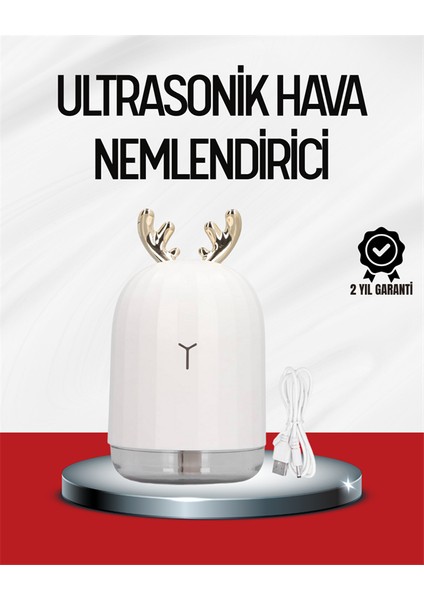El Tipi USB Mini Soğuk Mist Nemlendirici 220 ML Tank
