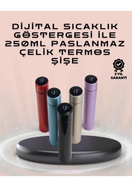 250ML LED Ekranlı Paslanmaz Çelik Akıllı Termos