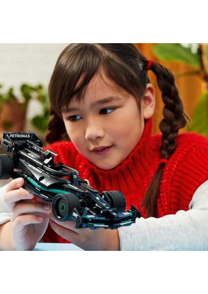 LEGO Technic Mercedes-Amg F1 W14 E Performance Pull-Back 42165-7 Yaş ve Üzeri Çocuklar Için Koleksiyonluk Yaratıcı Yarış Arabası Model Yapım Seti, Doğum Günü Hediyesi Fikri (240 Parça) modelleri