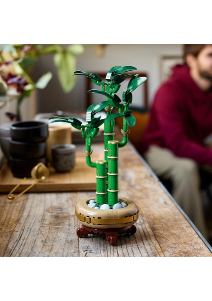 LEGO Botanicals Şans Bambusu 10344 – Yetişkin Kadın ve Erkekler Için Bambu Sapları, Çakıl Taşları ve Ahşap Efektli Saksı Içeren Dekoratif Bitki Seti, Ev ve Ofis Dekorasyonu Hediye Fikri (325 Parça) modelleri