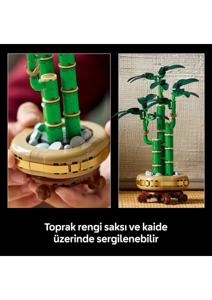 LEGO Botanicals Şans Bambusu 10344 – Yetişkin Kadın ve Erkekler Için Bambu Sapları, Çakıl Taşları ve Ahşap Efektli Saksı Içeren Dekoratif Bitki Seti, Ev ve Ofis Dekorasyonu Hediye Fikri (325 Parça) fırsatları