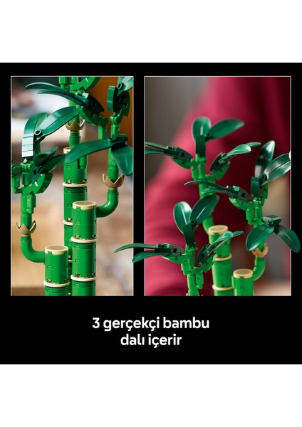 LEGO Botanicals Şans Bambusu 10344 – Yetişkin Kadın ve Erkekler Için Bambu Sapları, Çakıl Taşları ve Ahşap Efektli Saksı Içeren Dekoratif Bitki Seti, Ev ve Ofis Dekorasyonu Hediye Fikri (325 Parça) indirimleri