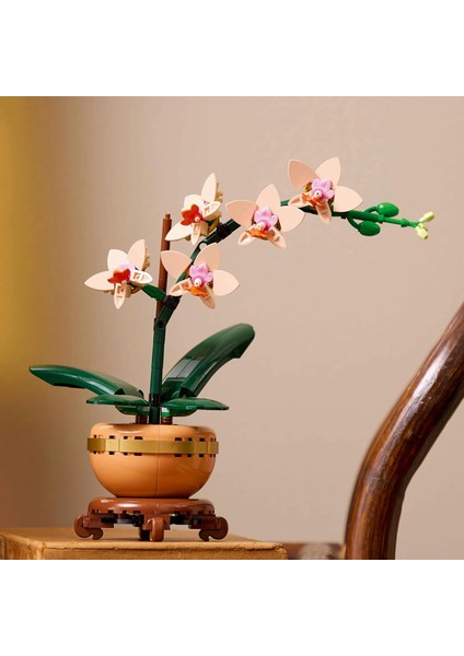 LEGO Botanicals Mini Orkide 10343 – Açık Renkli Terakota Saksı ve Ahşap Efektli Kaide Içeren Yetişkin Kadın ve Erkekler Için Dekoratif Çiçek Yapım Seti, Ev ve Ofis Dekorasyonu Hediye Fikri (274 Parça) modelleri