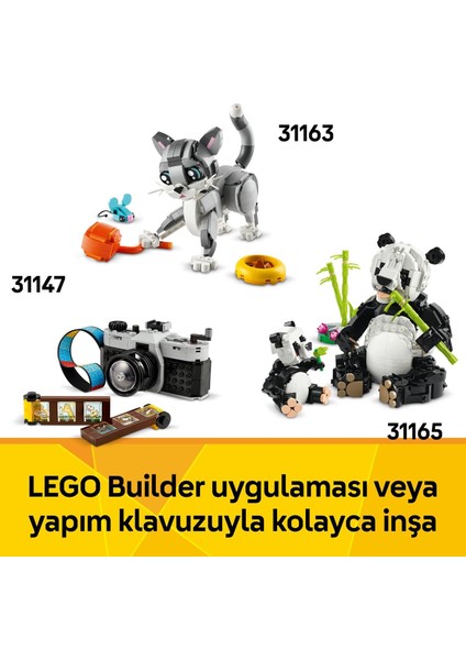 LEGO Creator 3’ü 1 Arada Çiçekli Daktilo 31169-8 Yaş ve Üzeri Çocuklar Için Keytar Veya Saksıya Dönüşebilen Yaratıcı Oyuncak Yapım Seti, Doğum Günü Hediyesi (363 Parça) fırsatları
