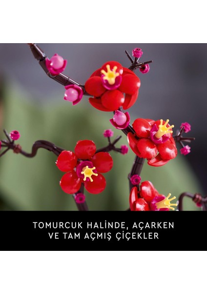 LEGO Icons Erik Çiçeği 10369 - Yetişkinler Için Bakım Gerektirmeyen Dekoratif Bitki Yapım Seti (327 Parça) indirimleri