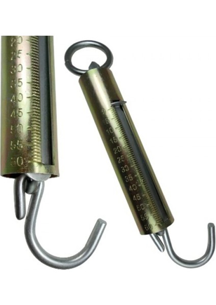 Mekanik El Kantarı 60 kg ( Lisinya )