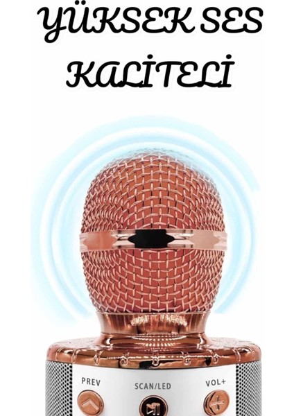 Şarjlı ve Uzun Pil Ömürlü Karaoke Mikrofon USB Bellek Destekli, Profesyonel Ses modelleri