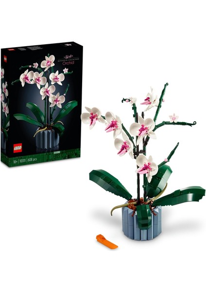 LEGO Icons Orkide 10311 - Yetişkinler Için Dekoratif, Koleksiyonluk ve Sergilenebilir Çiçek Modeli Yapım Seti (608 Parça)