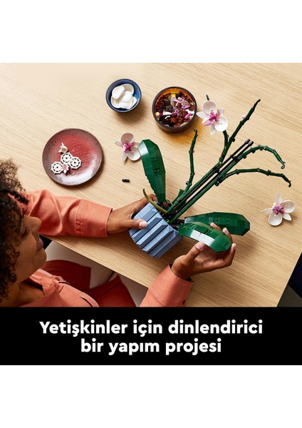 LEGO Icons Orkide 10311 - Yetişkinler Için Dekoratif, Koleksiyonluk ve Sergilenebilir Çiçek Modeli Yapım Seti (608 Parça) fırsatları