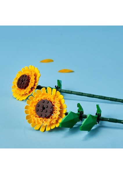 LEGO Botanicals Ayçiçeği 40524 - Dekoratif, Koleksiyonluk ve Sergilenebilir Çiçek Modeli Yapım Seti (191 Parça) fırsatları
