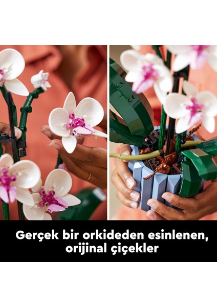 LEGO Icons Orkide 10311 - Yetişkinler Için Dekoratif, Koleksiyonluk ve Sergilenebilir Çiçek Modeli Yapım Seti (608 Parça) fiyatları