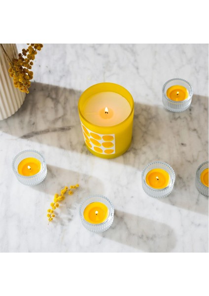 Svartoxbar Kokulu Tealight Mum Sarı 3.5 Saat 30 Adet Mimoza fırsatları