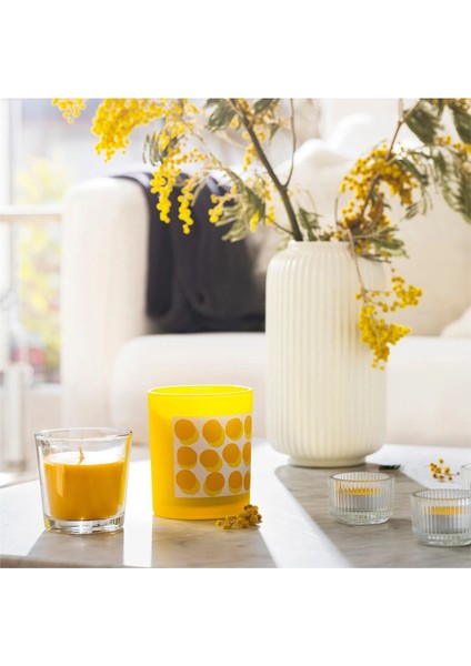 Svartoxbar Kokulu Tealight Mum Sarı 3.5 Saat 30 Adet Mimoza indirimleri