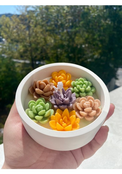 Dekoratif Kasede Kaktüs Bahçesi Soya Wax Mum