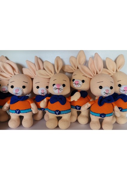 Amigurumi Oyuncak - El Örgüsü Sevimli Doğal ve Güvenli Oyuncak -Amigurumi Oyuncak Tavşan fırsatları