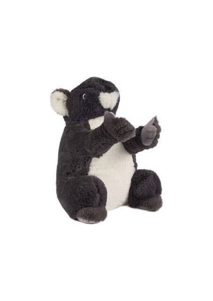 Bfs 0785 Gri Renk Koala fiyatları