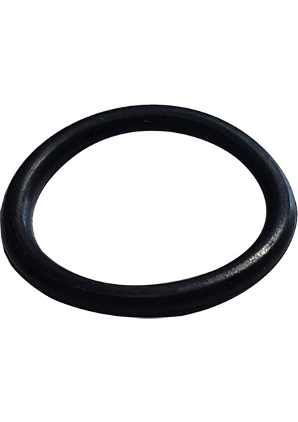 Piston Keçe Contası Hyundaı Ilaçlama Turbo 768/900 - 2 Adet