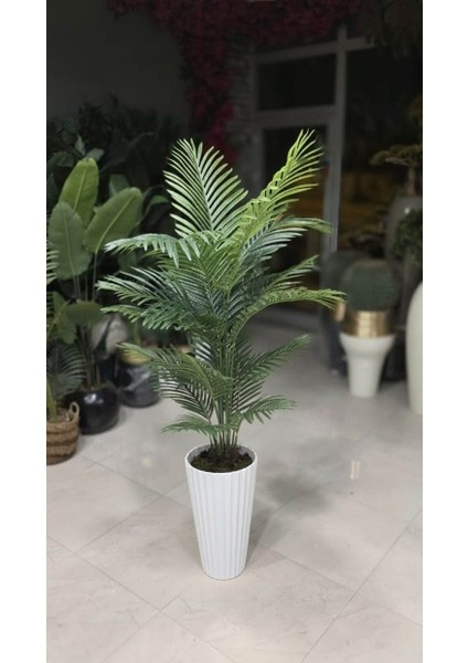 Beyaz Büyük Tırtıklı Saksıda Tusem - 180 cm