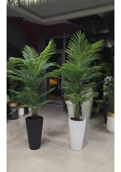 Beyaz Büyük Tırtıklı Saksıda Tusem - 180 cm fiyatları