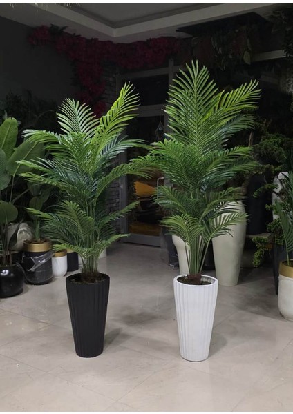 Beyaz Büyük Tırtıklı Saksıda Tusem - 180 cm modelleri