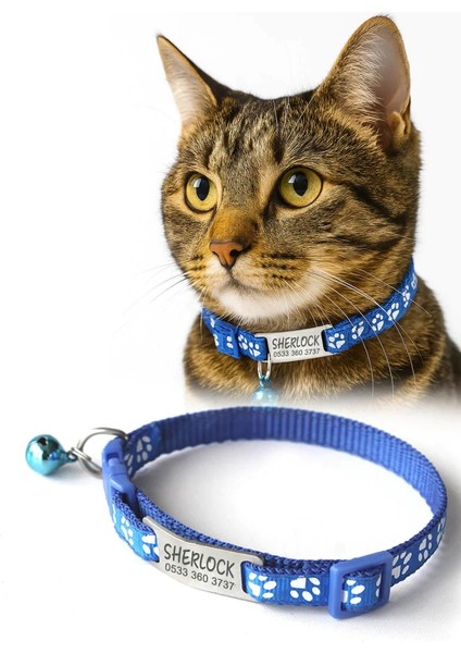 Sallanmayan Kedi Tasması Metal Isimlikli
