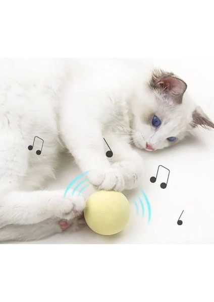 Sesli Kedi Oyuncağı – Dokunmaya Duyarlı Müzikli Top modelleri