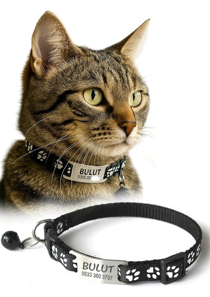 Sallanmayan Kedi Tasması Metal Isimlikli Sallanmayan Kedi Künyesi