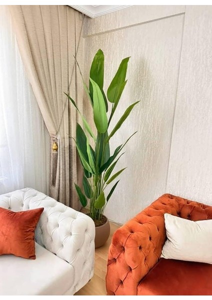 Beyaz Plastik Küre Saksıda 24 Yapraklı Starliçe - 210 cm fiyatları