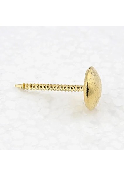 Sarı Saraciye, Deri Tırtıklı Kabara 9,5 mm - 1000 ( Lisinya )