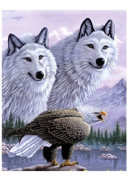 3 Boyutlu Resim Kartallı Kurt Resmi Tablosu 40X60 cm ( Lisinya )