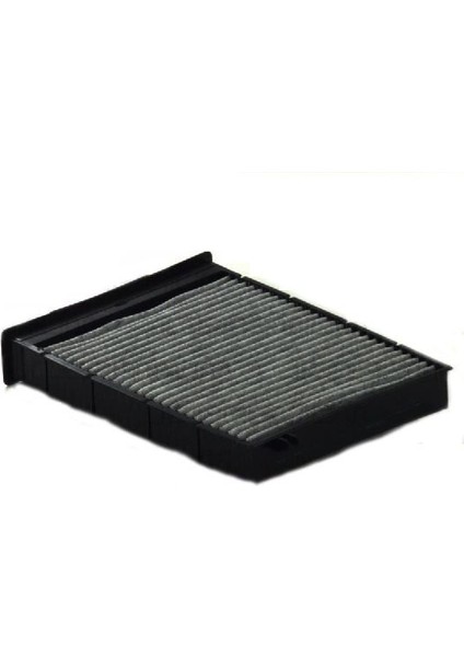 SCA694.1 - Polen Filtresi Renault Megane Iı 02 Scenıc Iı 02 Tüm Modeller Karbonlu