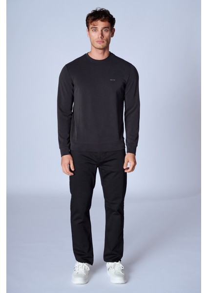 Esw 2950 Bisiklet Yaka Soft Touch (Yumuşak His) Dokuma Kumaş Erkek Sweat modelleri