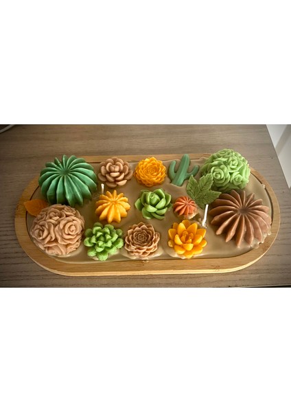 Bambu Tabakta Sukulent Bahçesi Soya Wax Mum Set