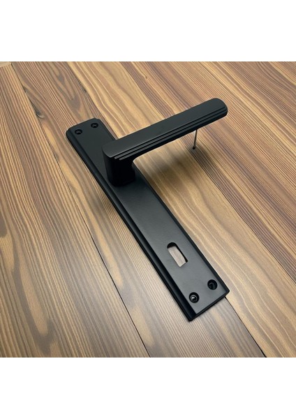 Ibiza Mat Siyah Full Zamak Elegant Aynalı Oda Kapı Kolu 1 Takım