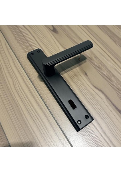 Ibiza Mat Siyah Full Zamak Elegant Aynalı Oda Kapı Kolu 1 Takım fiyatları