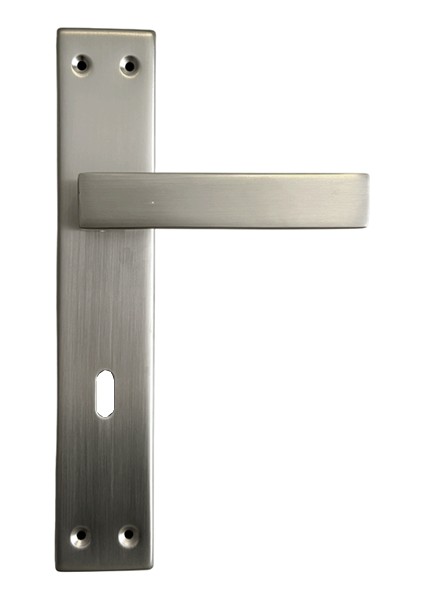 Erkul Alüminyum Inox Oda Kapı Kolu, Modern ve Dayanıklı Kapı Kolu (478-02-ODA-IN)